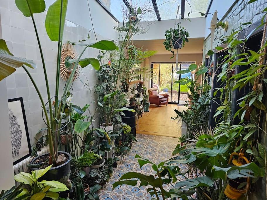 Maison De Caractere 8 Pers - Jardin - Lambersart Dış mekan fotoğraf