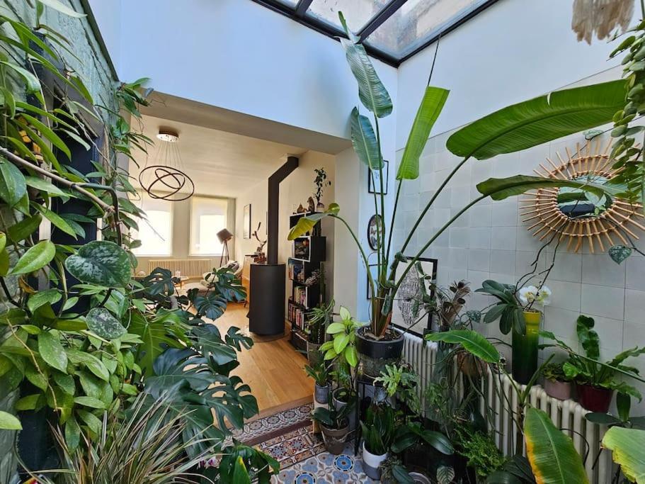 Maison De Caractere 8 Pers - Jardin - Lambersart Dış mekan fotoğraf