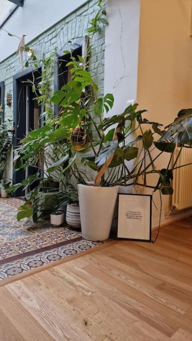 Maison De Caractere 8 Pers - Jardin - Lambersart Dış mekan fotoğraf